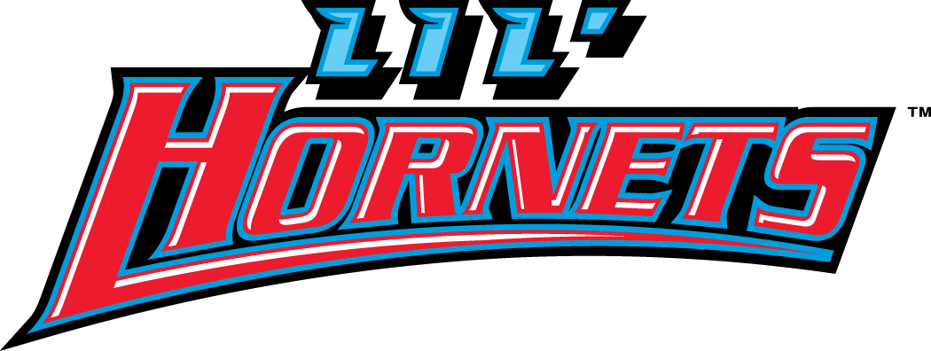 Delaware State Hornets 2004-Pres Misc Logo v3 diy fabric transfer